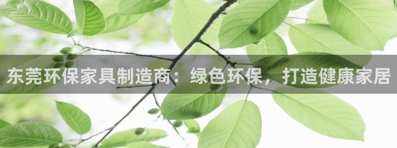 杏耀登入官网：东莞环保家具制造商：绿色环保，打造健康家居