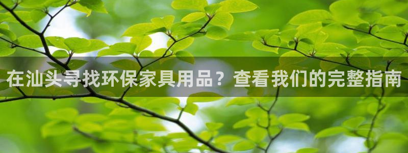 杏耀平台娱乐：在汕头寻找环保家具用品？查看我们的完整指南